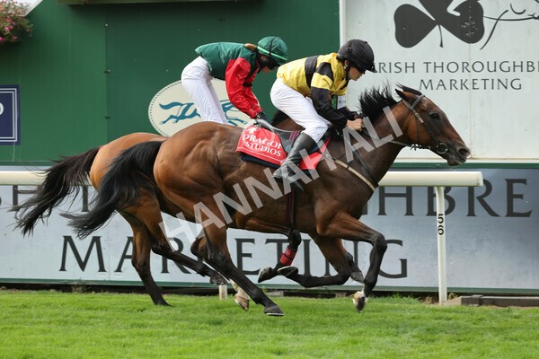 yr04092022p1-49 - 12.30pm 148cm Conditions Pony Race