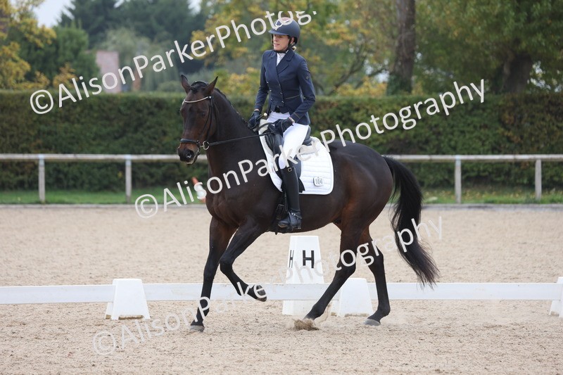 20251012-0772 - Class 7 - Medium 5