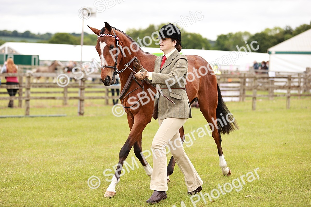 SBM_01713 - Class 31-34 Hack Breeding