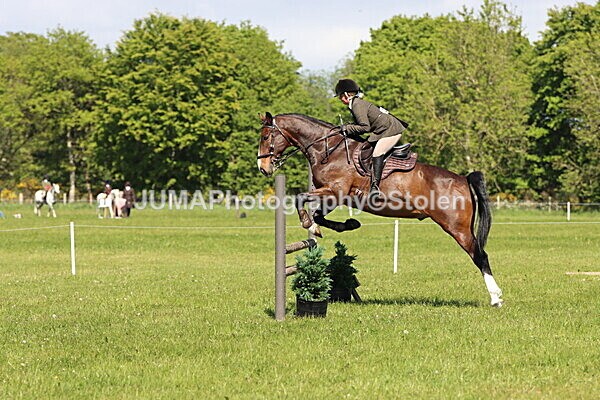 IMG_4459 - Working Hunter