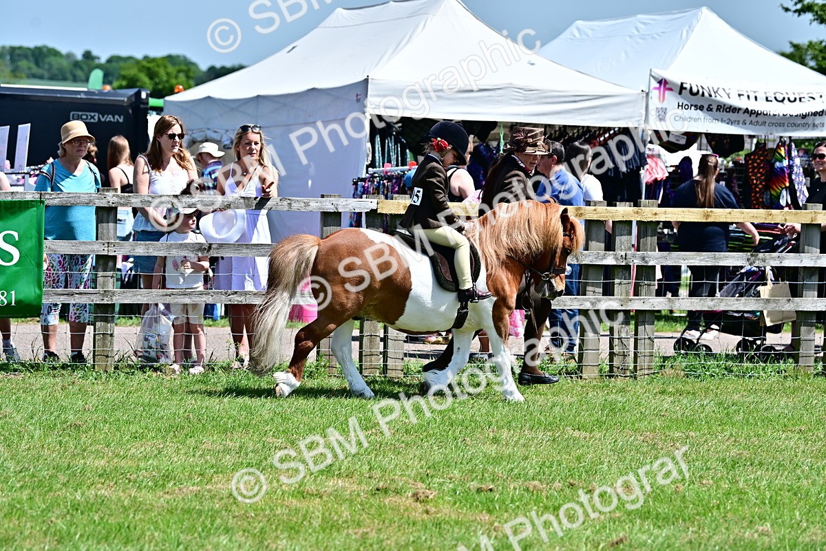 SBM_05813 - Class 59-60 - TSR M&M  Lear Rein and First Ridden Amateur of the year