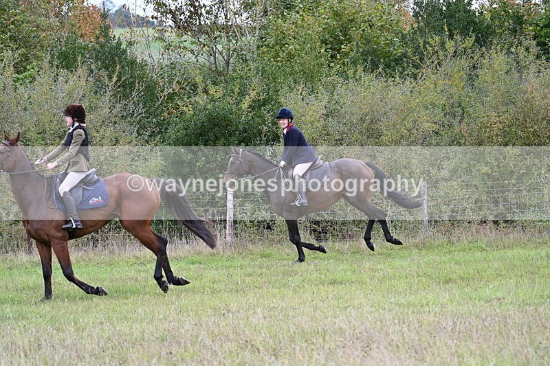 WJ7_3990 - Camera 1 Line 1