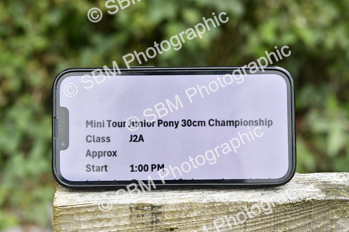SBM_65384 - J2a mini Tour Junior Pony 30cm Championship