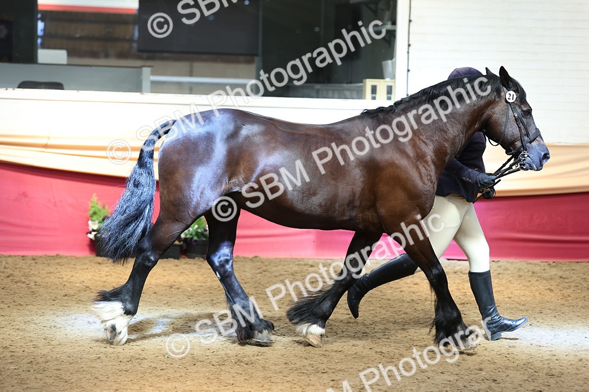 SBM_24137 - Class 905 - Supreme Final - Ridden Veteran