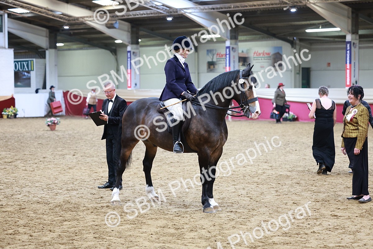 SBM_18607 - Class 952 - M&M Ridden Supreme Final