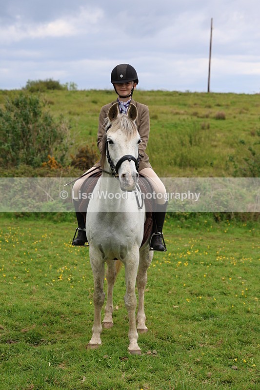 3E7A2144 - Class 11: Ridden Arab