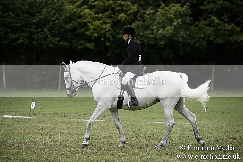 BVR080918 262 - BVRC Novice Dressage & CR 08/09/18