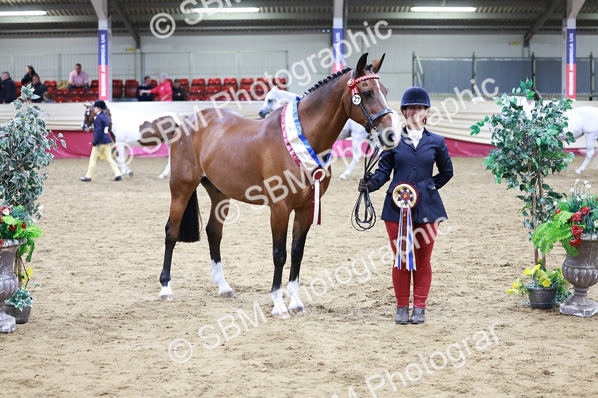 SBM_20144 - Class C - Novalty Champ