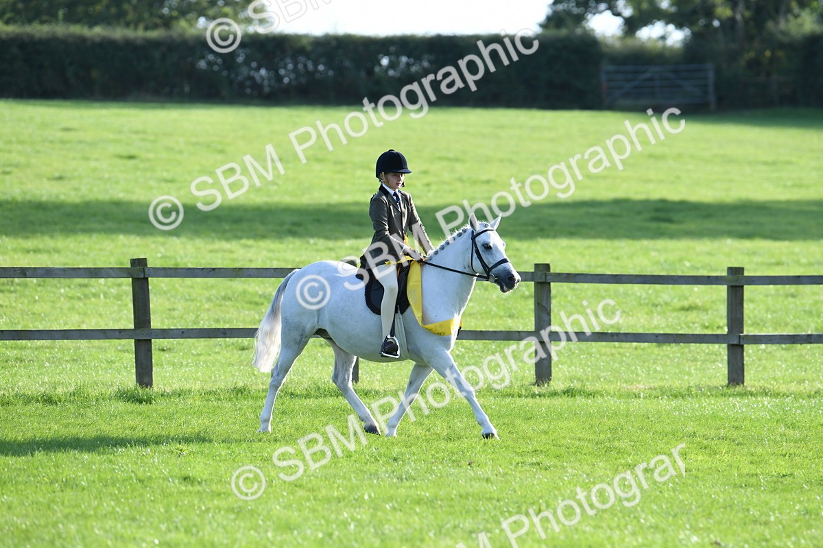 SBM_52451 - S22 - 1st Ridden Show & Show Hunter Pony