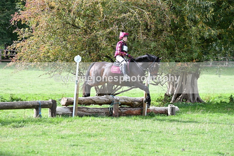 WJ5_0761 - Time 13:59 to 14:28