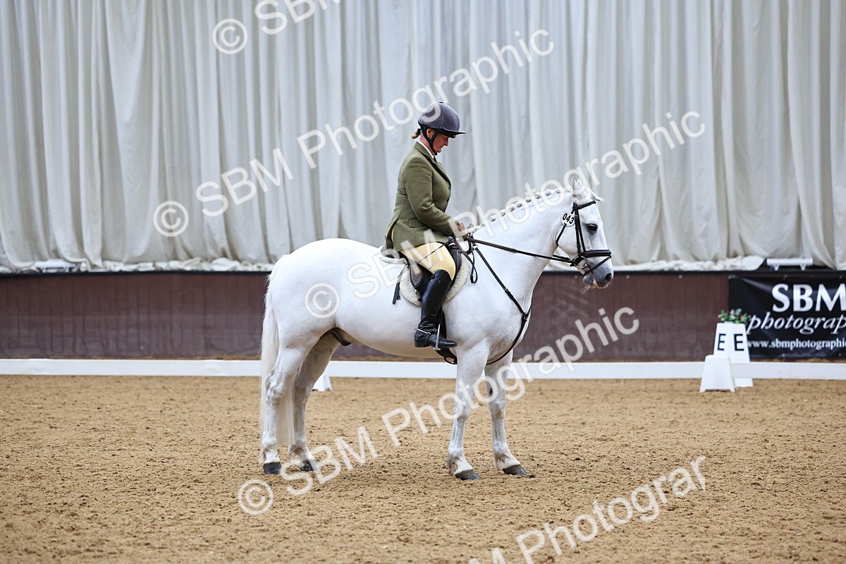 SBM_005451 - Elementary 2