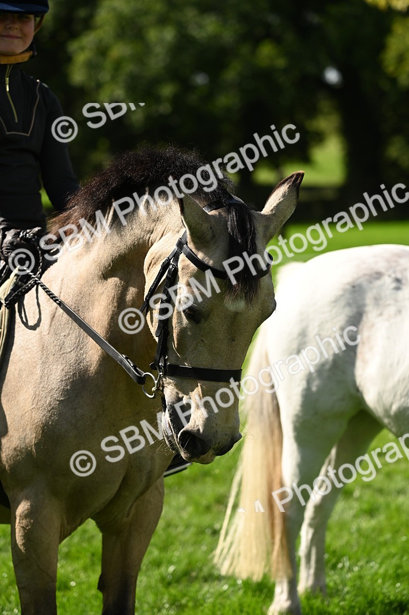 SBM_02846 - S3 - TSR Ridden Pony Showing