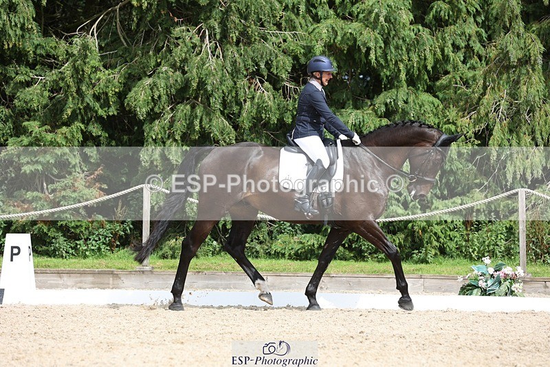 230812-152735-05141 - Cls 5 Novice Bronze 15.00 to End