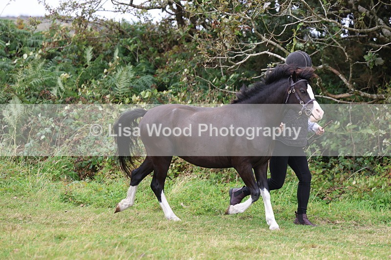 3E7A4330 - Class 15: Three Year Olds