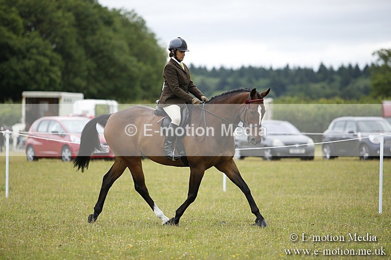 BVR160717-305 - Ring 1 BVRC Show 16/07/17