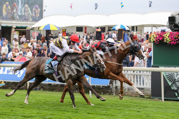 yr18082022r3-26 - Race 3 3.00pm Clipper Logistics Stakes