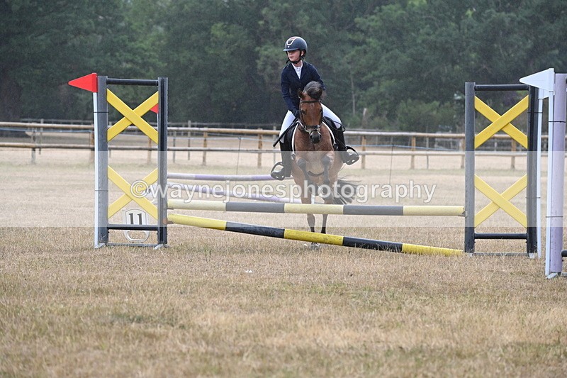 WJ6_0013 - Class 13 Novice Jumping 60cm