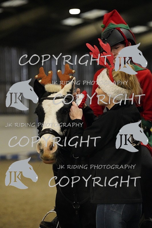 _DSC2616 - Mini Pairs