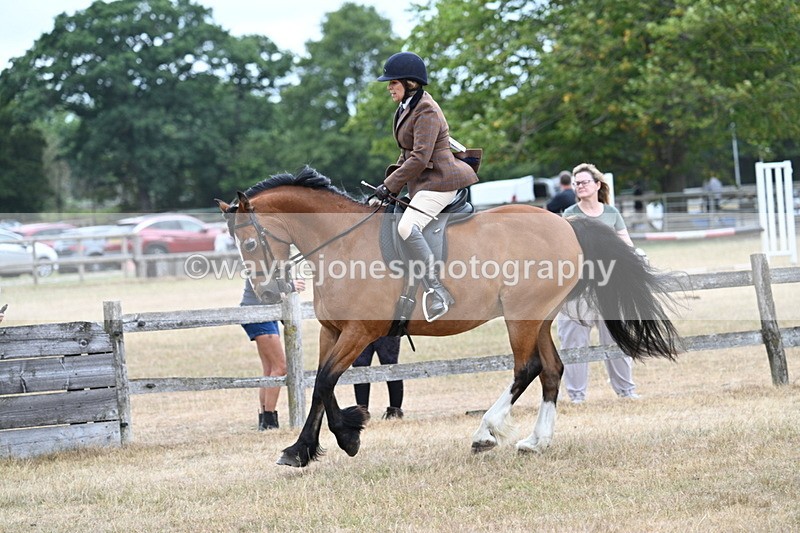 WJ7_0590 - Class 6 Ridden Mountain and Moorland