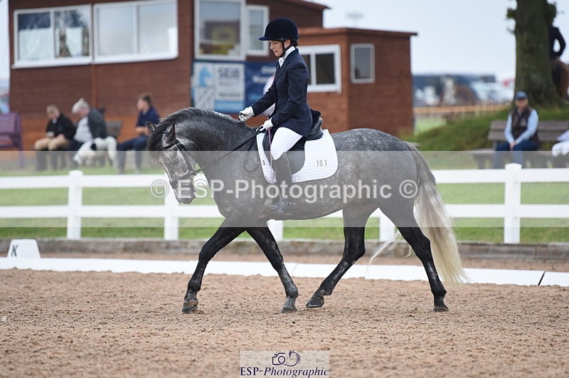 230708A-103910-01423 - Prelim 7