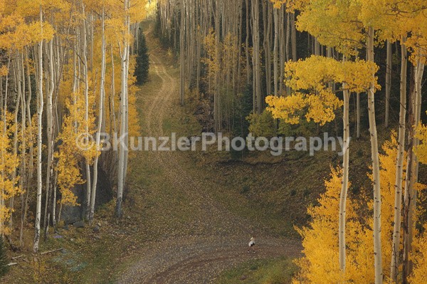  - Colorado