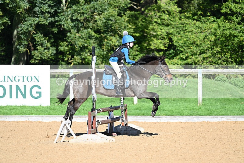 WJ7_1147 - Time 10:39 to 11:18