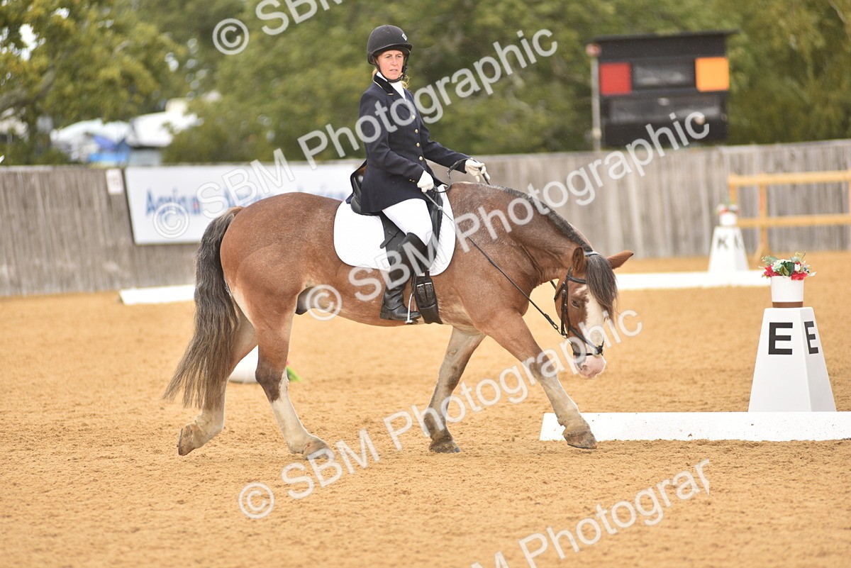 SBM_19875 - D4 - Small Tour Championship Intro 4