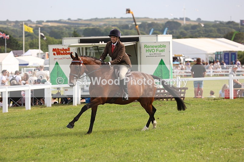 JPP_4252 - Class 25: Working Show Horse