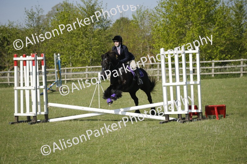 20250427-0385 - Class 12 - Rookie Jumping 40cm