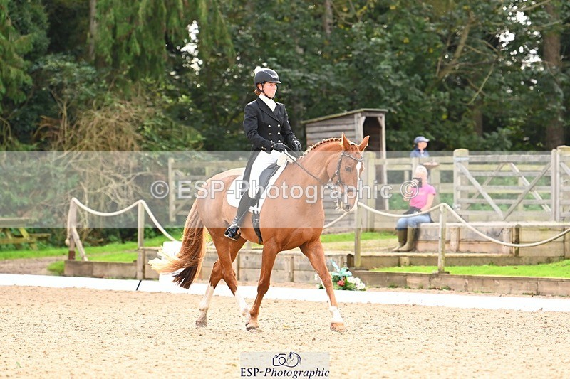 231020-143954-10000 - 309-CROSSTOWN.FINTANS.LAST-Catherine.Burrell-DR