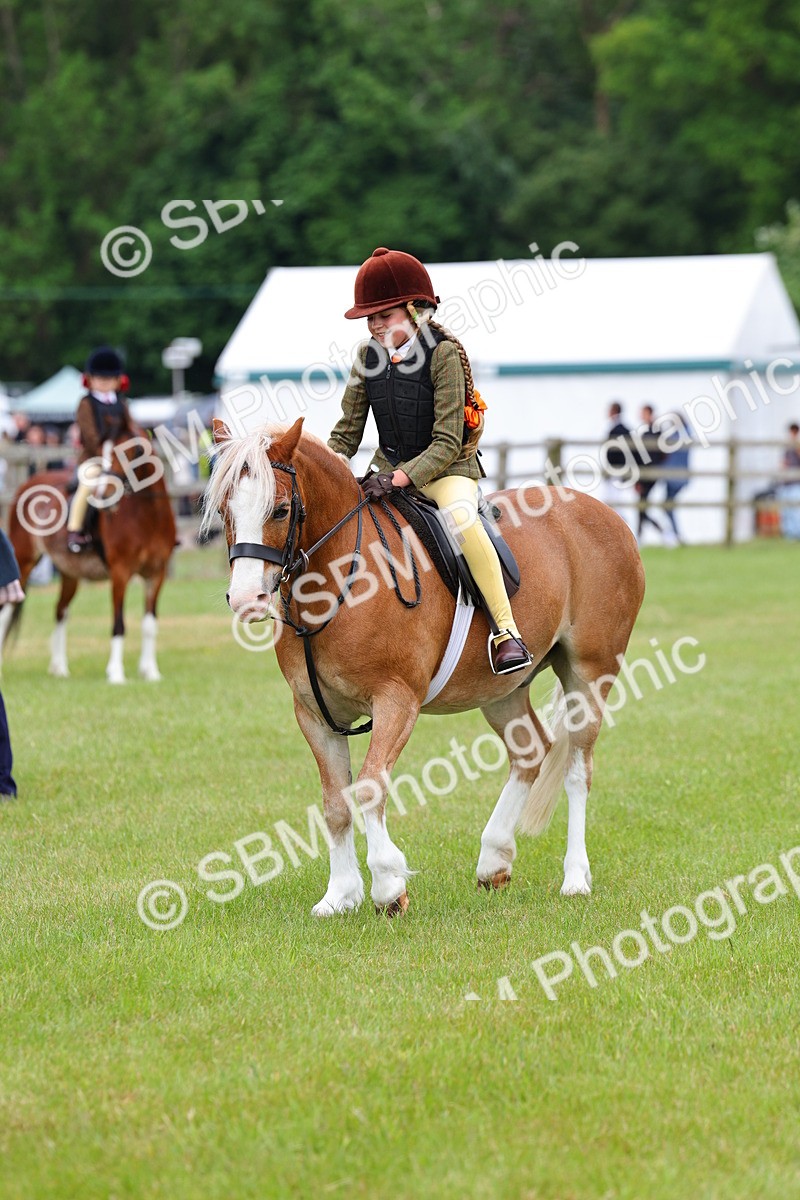 SBM_08751 - Class 42-43 - LIHS BSPS Heritage Working Sports Pony