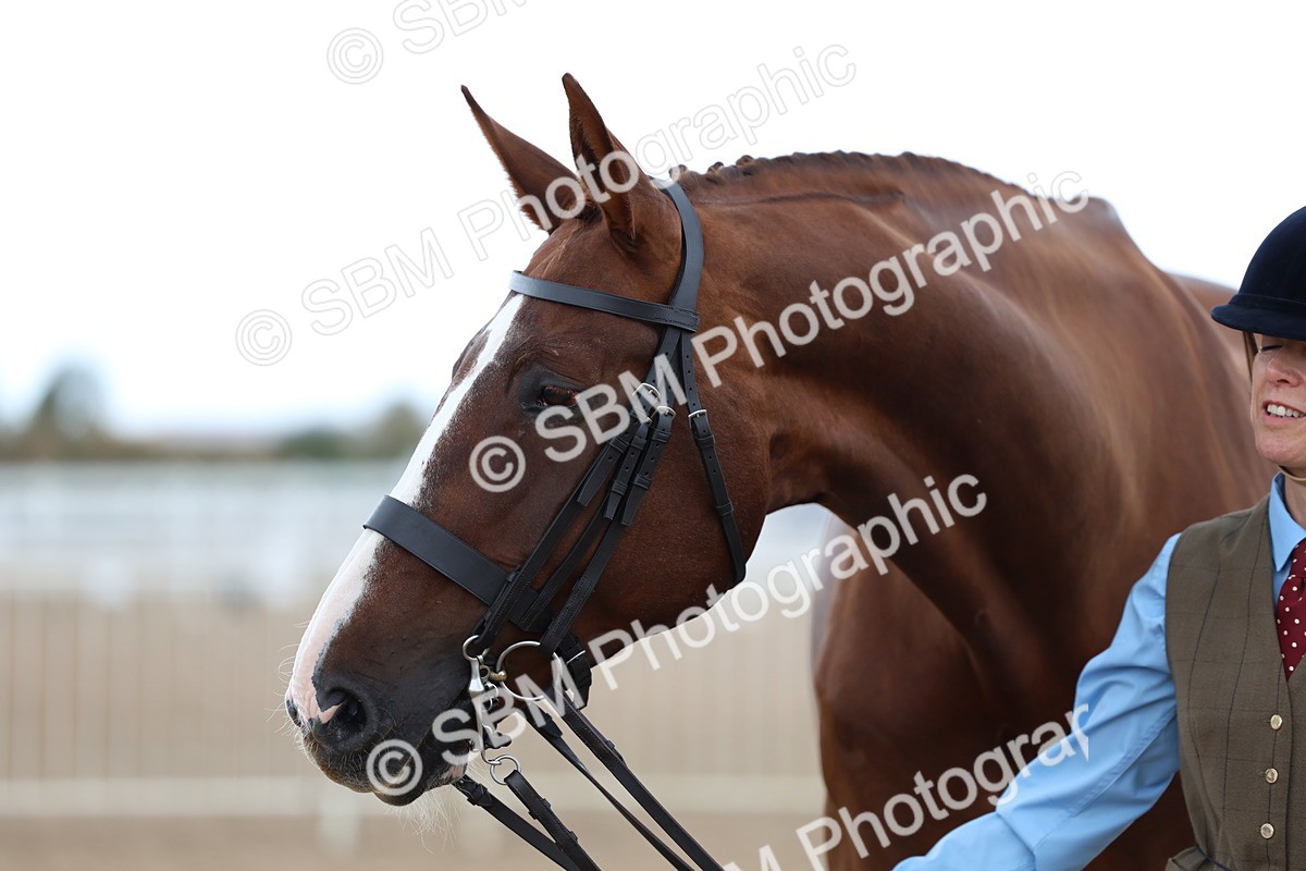 SBM_05131 - Class 27 - IH Competition Horse or Pony