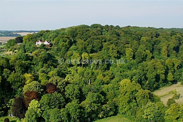 Hampshire Hangers, Hampshire - South Downs National Park
