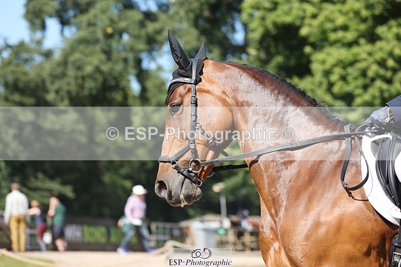 240719-102437-00685 - 227-Jane_Murray-Hebog_Mischief