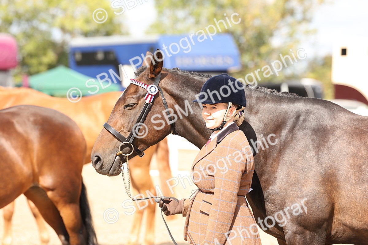 SBM_14701 - Class 208 - IH Veteran Horse
