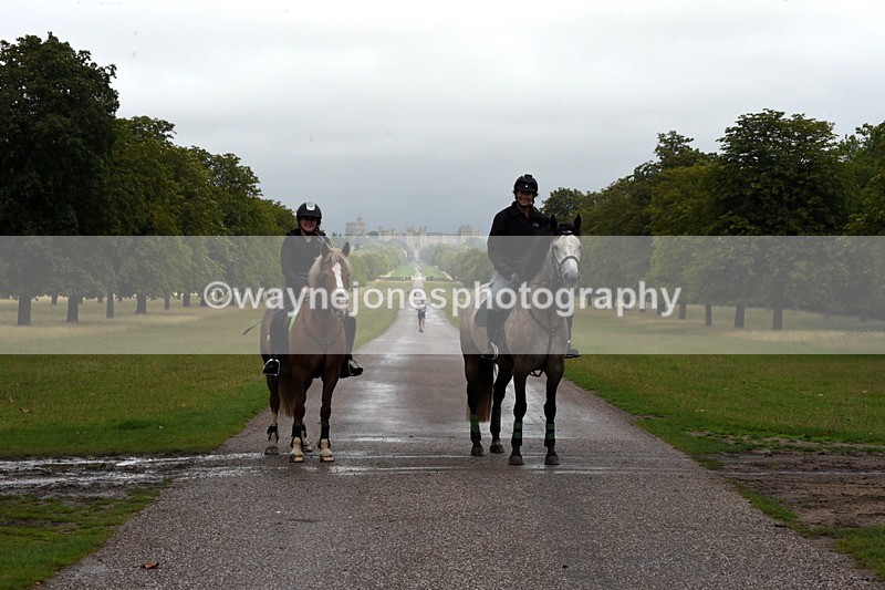 TT3_8290 - Time at Crossing 10:16 to 11:38