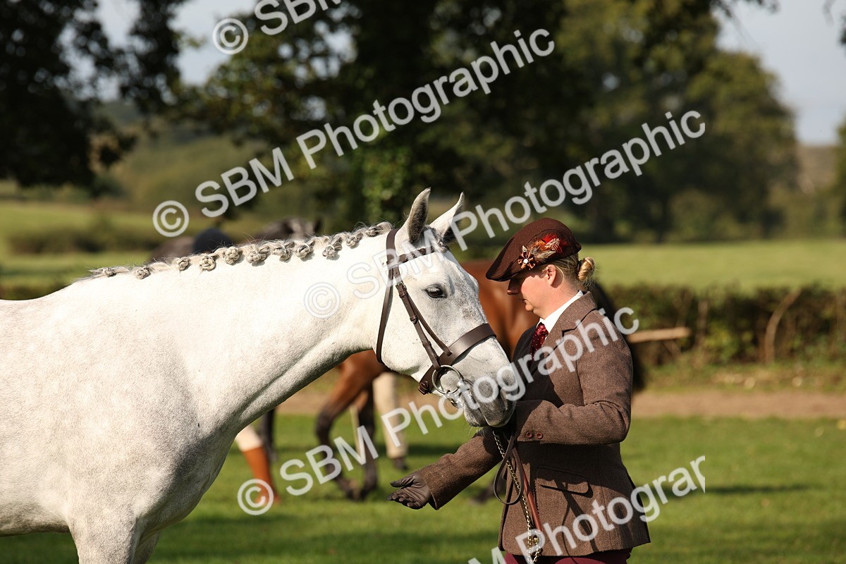 SBM_60097 - S53 - Hunter In Hand