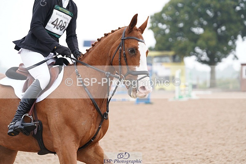 240901A-101344-05583 - 408-Joe.Roome-COLLIE.MOR.CHESTER