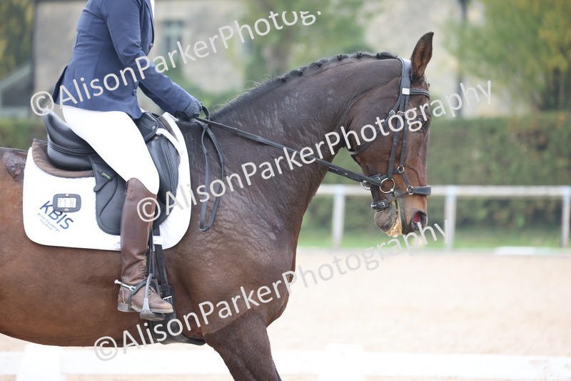 20251012-0733 - Class 6 - Elementary 6