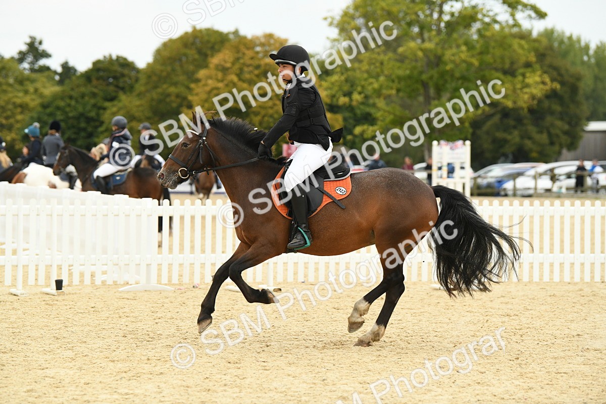 SBM_73216 - J16 - Junior Pony 75cm Championship
