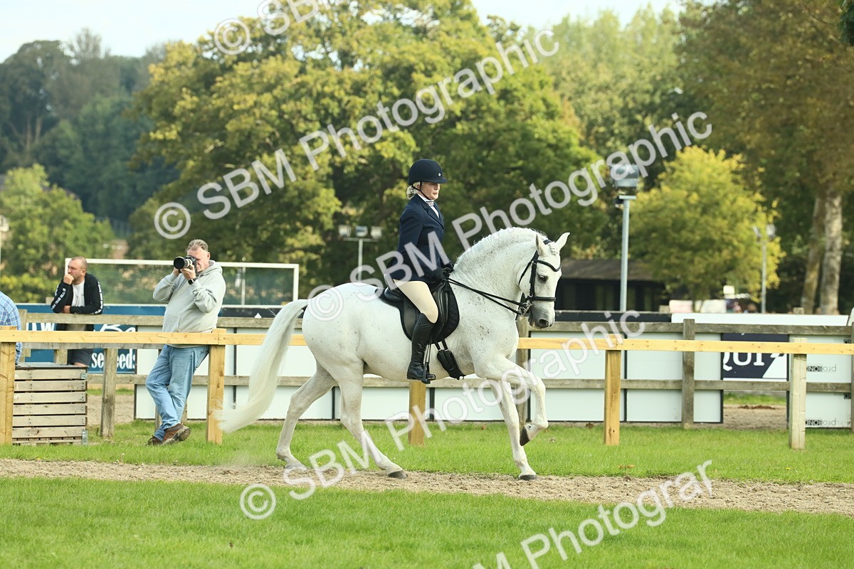 SBM_62442 - S62 - Foreign Breeds Ridden