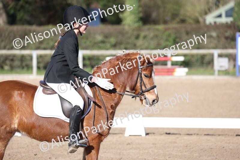 20260214-0376 - Class 4 - Novice 2