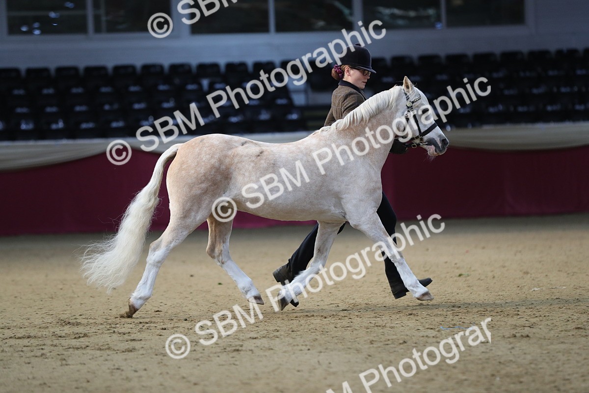 SBM_00199 - Class 1a - Area IH Diamond