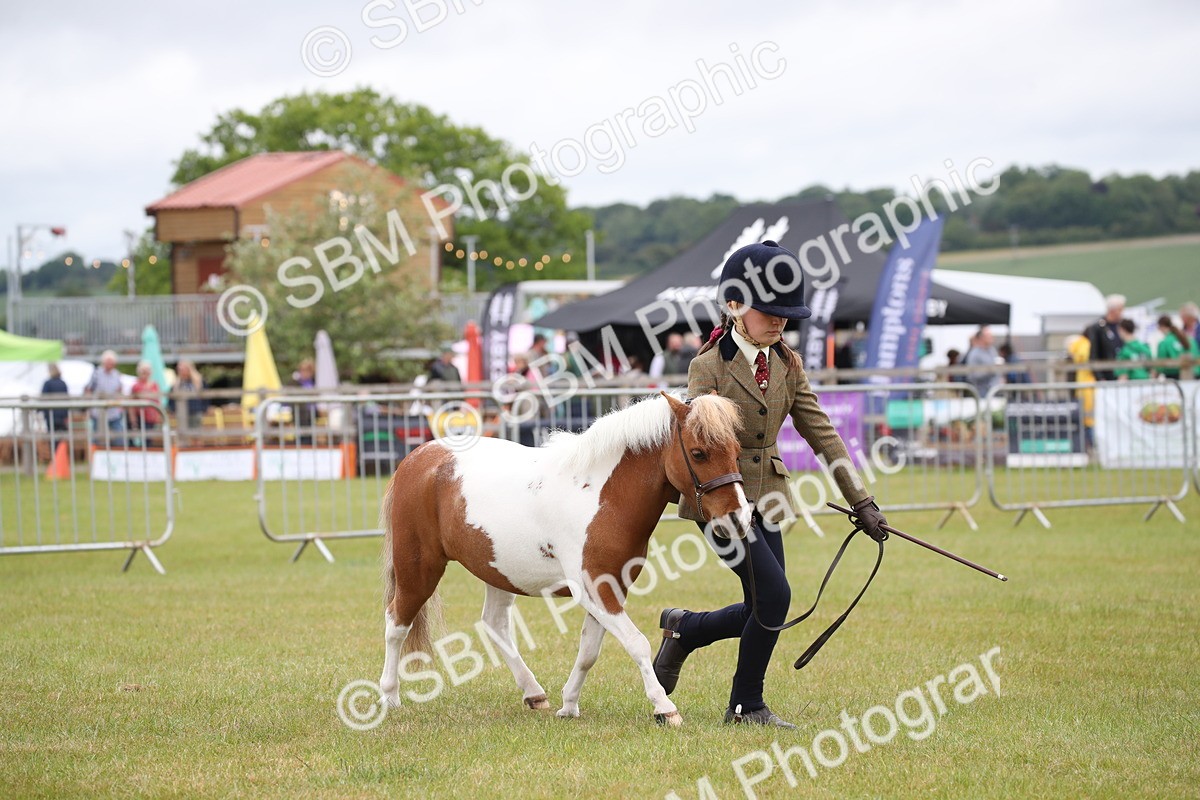 SBM_03950 - Class 23-25 - British Miniature Horse of the Year