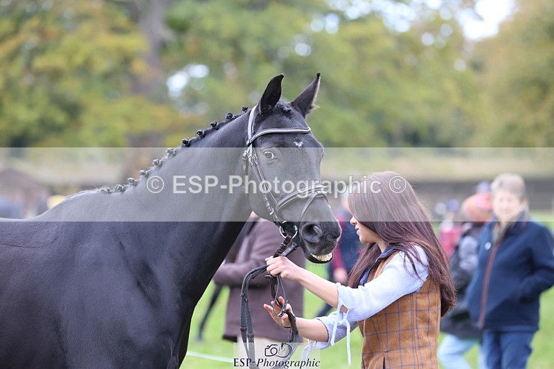 251026A-105741-23405 - G-505-Sarah.Amos