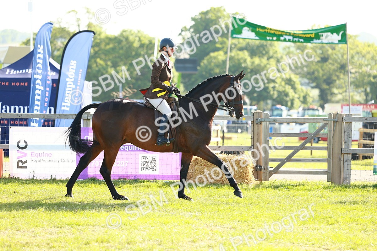 SBM_10855 - Class 66-69 - RIHS Ridden Hunters Inc Small Hunter