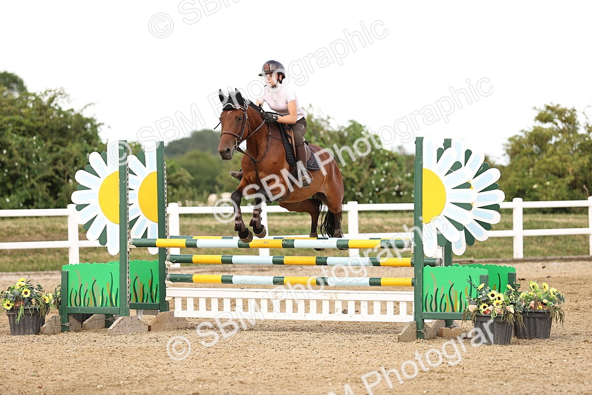 SBM_002594 - Class 19 - Nupafeed Supplements Senior Discovery - 1.00m