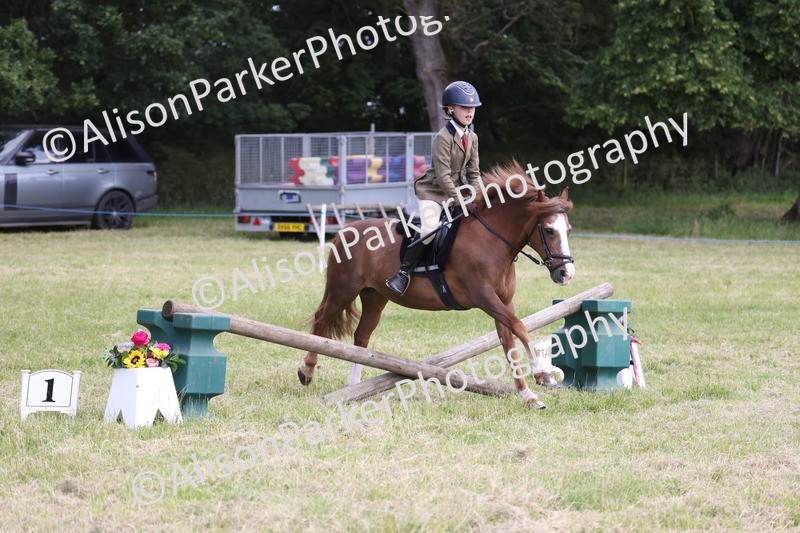 20260614-2070 - Class 21 - Novice Working Hunter Pony
