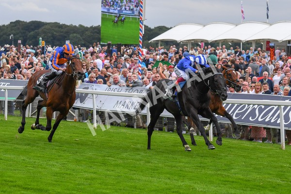 230823-Race 4-Mostahdaf-0589 - Race 4 3.35pm Juddmonte International Stakes