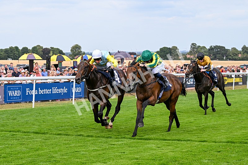 280726-Race 4-Vega King-0949 - Race 4 15.20pm 30 Years Of The Hurn Racing Club EBF Novice Stakes